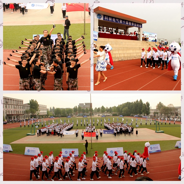 首页-tyc太阳城集团公司官网